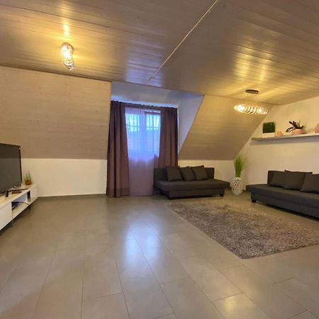 Ferienwohnung Sinsheim Extérieur photo