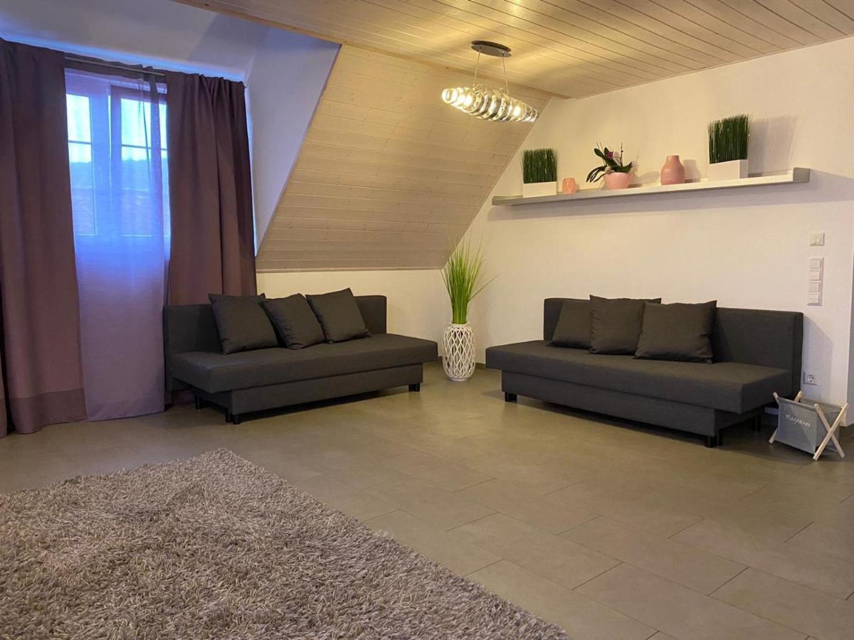 Ferienwohnung Sinsheim Extérieur photo