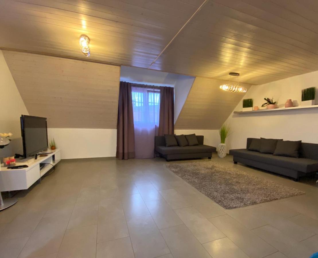 Ferienwohnung Sinsheim Extérieur photo